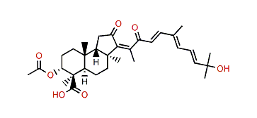 Globostellatic acid A